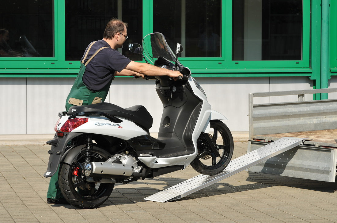 Handgeräterampe | Länge: 2,5m | Breite: 0,8m | Tragfähigkeit/Stück: 470Kg